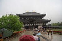 IMG_1010.JPG